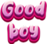 3783-goodboy