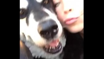 Felicity feline snapchat moments montage 1